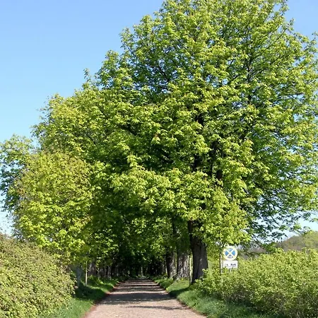 Ferienpark Neddesitz Ferienwohnung 48 Appartement