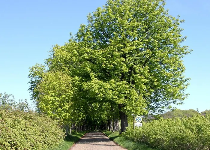 48 Διαμέρισμα